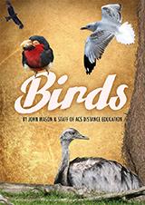 Birds- Identifying Birds-  PDF ebook