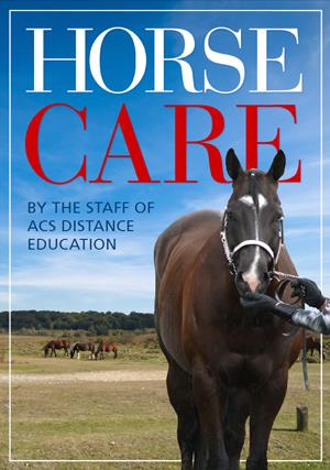 Horse Care - PDF ebook