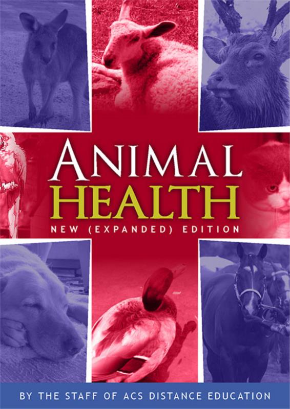 Animal Health 2nd edition - PDF ebook