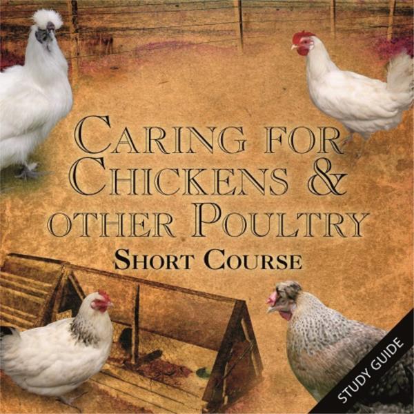 Caring for Chickens and Other Poultry- Short Course