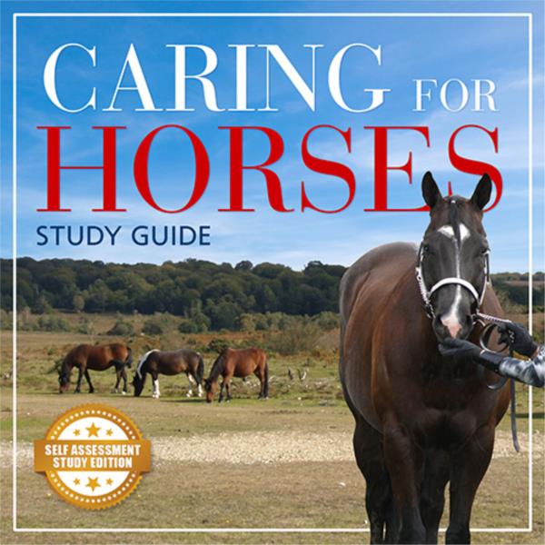 Caring for Horses - Short Course