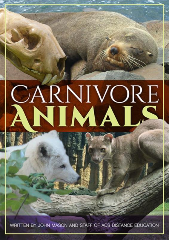 Carnivore Animals- PDF ebook