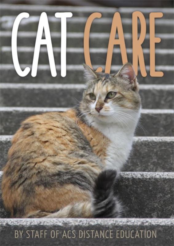 Cat Care -  PDF eBook