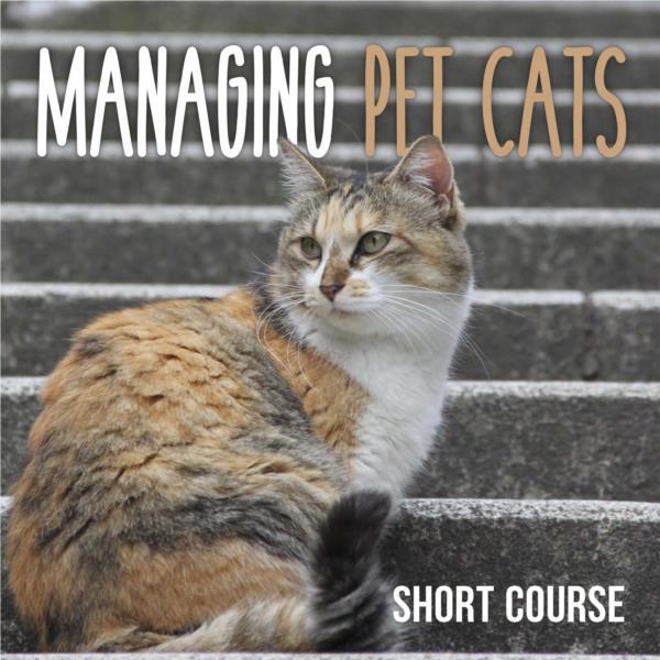 Managing Pet Cats