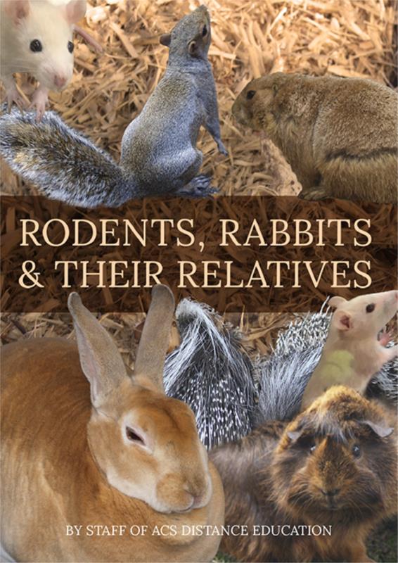 Rodents, Rabbits and their Relatives - PDF ebook
